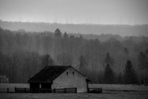 Barn in the mist