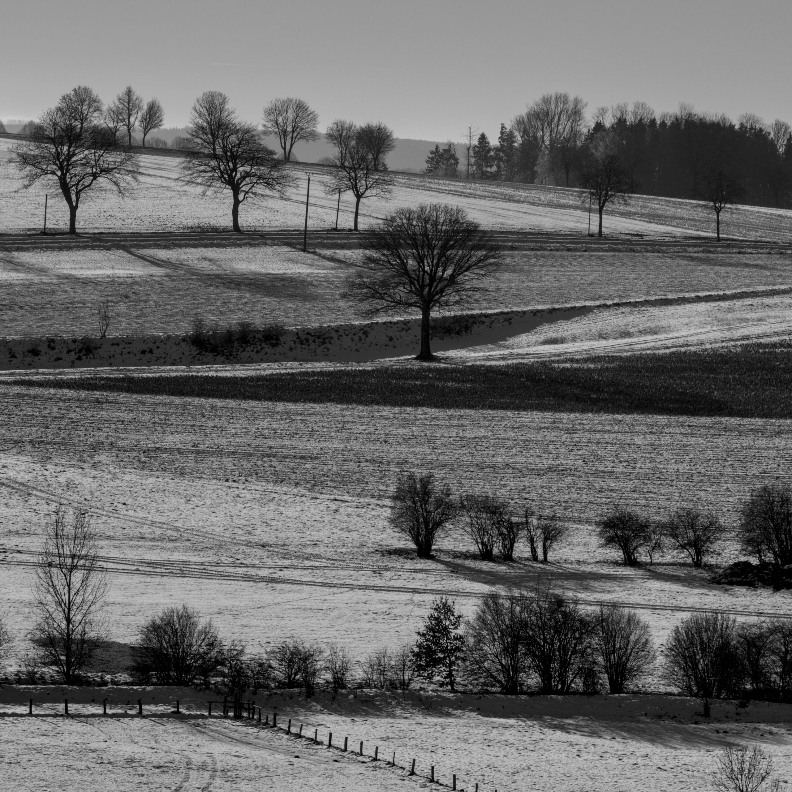 a winter scene